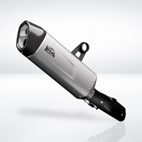 Carbon Gloss Heat Shield BMW R 1200 / R 1250