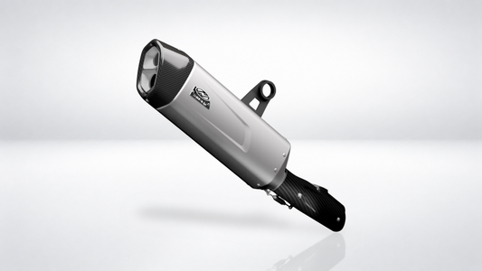 Carbon Gloss Heat Shield BMW R 1200 / R 1250